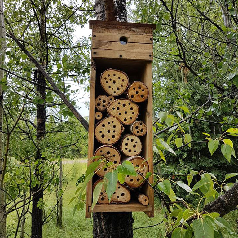 Our bee house just off the meadow in the Middle of Know-Where